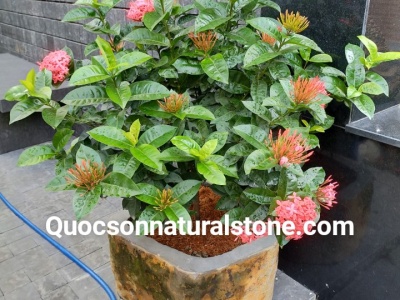 Chậu hoa basalt tự nhiên